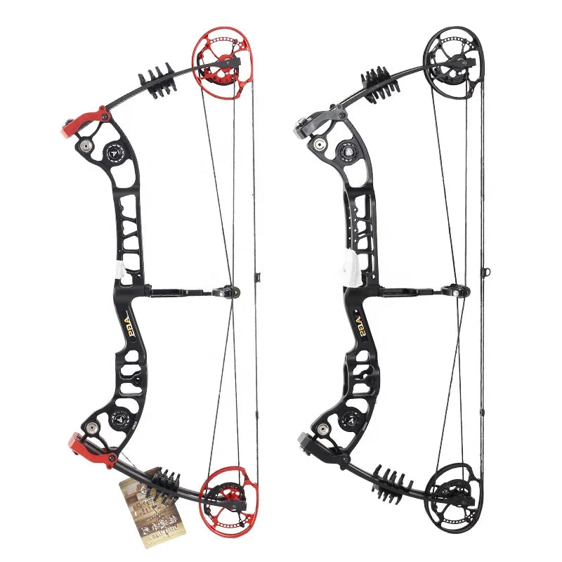 Compound Bow And Arrow Steel Ball Dual-use Hunting Shooting Composite Pulley Bow Set Wholesale Archery Competition Equipment