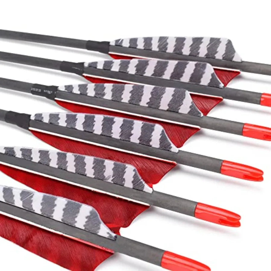 Pure Carbon Arrows 600 700 Spine 30 Inch Turkey Feather Fletching Screw in Field Points Targeting Hunting for Traditional Long